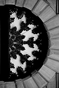 Wall_Art_Alphabet_Photography_Art_ 459